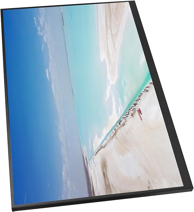 SUNGOOYUE 18 Inch Portable Display High Refresh Rate IPS Screen with Built in Dual Speakers for PC Cell Phone PS3 iOS Tablets (120HZ)
