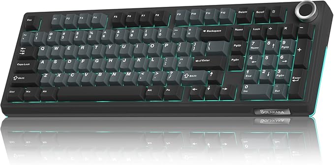 SOLAKAKA KI99 Pro Wireless Mechanical Keyboard Quiet SwitchHot Swappable Pre-Lubed Switches Silent Keyboard with RGB BacklitGasket Structure Computer Gaming Keyboards(BlackBlue Silent Switch)