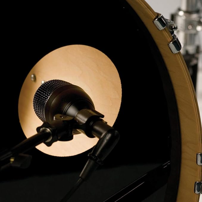 AUDIX f6 Hypercardioid Dynamic Kick Drum Microphone for Kick Drums and Bass Instruments