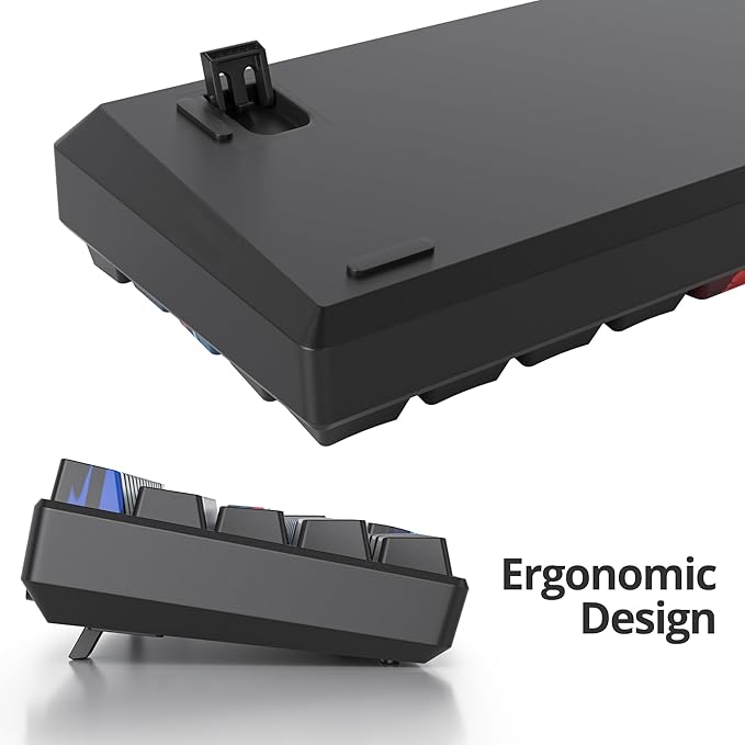 60 Percent Gaming Keyboard 60% Mechanical Keyboard LED Backlit Ultra Compact Wired Keyboard with Red Switch for Windows Laptop Gamer(61 Blue Samurai)