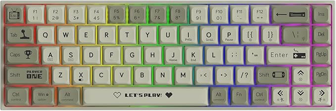 AK680 Wired Compact Mechanical Keyboard 68 Keys Grey-White Layout Hot-Swappable Tactile Brown Switch Gaming Keyboard with Multicolor Backlight Eva Foam Dampening for Gaming &amp Typing