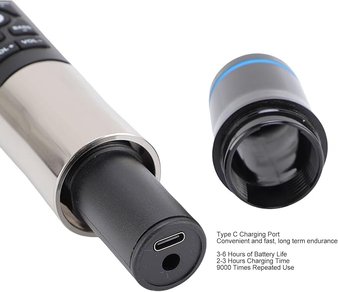Professional Wireless Microphone Set with Reverb Dynamic Mic for Home Theater Singing