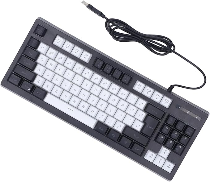 Vikye Compact 87 Keys Mechanical Keyboard with RGB Backlight Double Color for Gaming and Office (Black and White)