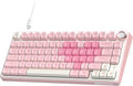 RK ROYAL KLUDGE R75 Mechanical Keyboard Wired with Volume Knob 75% Keyboard Gasket Mounted Hot Swappable Creamy Sound MDA Profile PBT Keycaps Pink