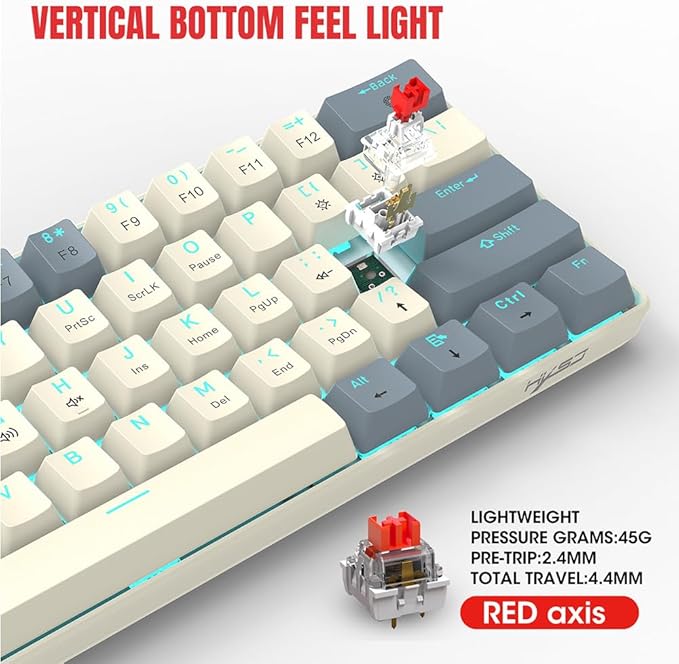 Docooler 60% Wired Keyboard 61-Key RGB Gaming Keyboard 61 Keys Hot-Swap Compact Mechanical Keyboard Linear Red Switch for Gaming &amp Office Wired Computer Keyboard Ergonomic - Ice Blue
