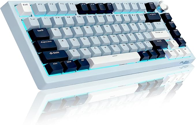 DstoPar Wireless Mechanical Keyboard75% Hot Swappable Gaming Keyboard with Multifunction knobRGB BacklitGasket StructurePBT Keycaps Bluetooth5.0/Type-C/2.4GK81 Mechanical Keyboard（Iceland Blue）