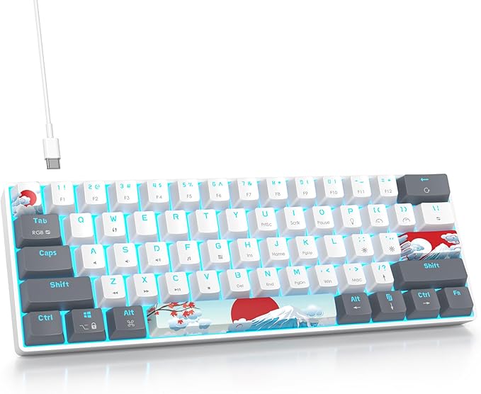 Fogruaden 60% Percent Mechanical Keyboard RGB Gaming Keyboard 60 Percent Ultra-Compact 61Keys Mini Wired Keyboard with Red Switch for Win/Mac PC Gamer(WhiteGrey Red Switch)