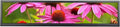 VSDISPLAY 24 Inch 1920x360 IPS Stretched Wide Bar Display for Gaming Marquee Monitor CabinetSupermarket Shelf Advertising Monitor with USB Video Interface