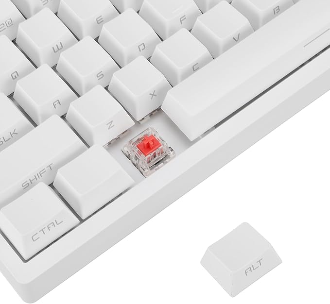 Bewinner 108 Key Mechanical Keyboard Tri Mode BT5.0 2.4GHz USB C Hot Swappable Custom Keyboard Red Switch RGB Gaming Keyboard for PC Tablet