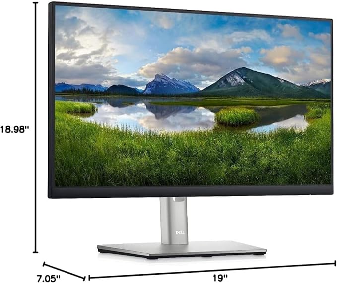 MNTR DELL P2222H 22 IPS R