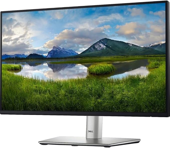 Dell DELL-P2225H 22 inch Full HD 100Hz 16:9 1ms IPS Monitor Black and Silver 2 Pack Bundle with Deco Gear 6FT Universal 4K HDMI 2.0 Cable with 28AWG Pure Copper Conductors