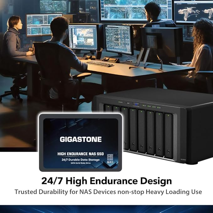 Gigastone 【NAS Certified】 High Endurance 512GB SSD (2-Pack) for Gaming/PC/Laptop/NAS SSD TLC 24/7 Reliable 2.5 SATA Internal Solid State Drives RAID Data Storage 2.5 inches SATA 3.0