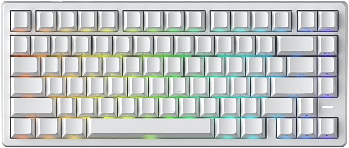 Mars75 Wired Magnetic Switch Keyboard 75% Layout0.001MM RT Accuracy 8KHZ Polling Rate/Latency As 0.125MS/256KHZ Single Key Scan Rate/ARGBHot Swappable Gaming Keyboard(White)