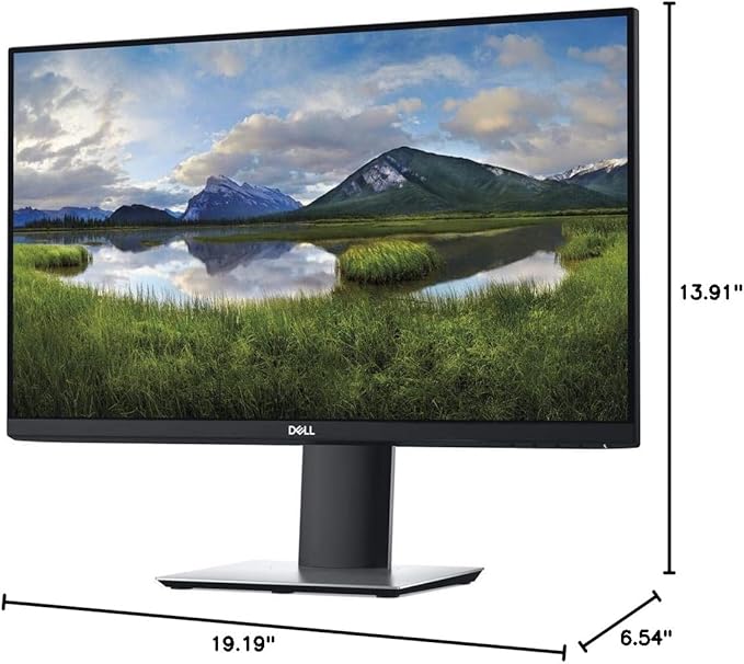 P2219H Widescreen LCD Monitor