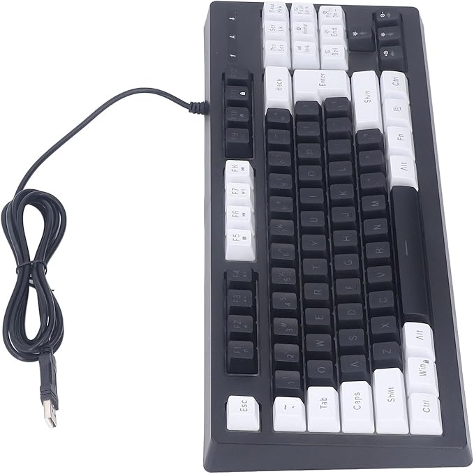 Vikye Compact 87 Keys Mechanical Keyboard with RGB Backlight Double Color for Gaming and Office (White Black)