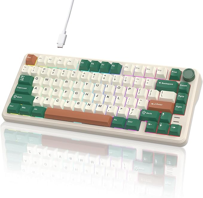 75% Retro Green Wired Hot Swappable Mechanical Keyboard with Metal Knob | Mount Gasket | Programmable RGB Backlit &amp Adjustable Side Light (KTT Brown Switch)