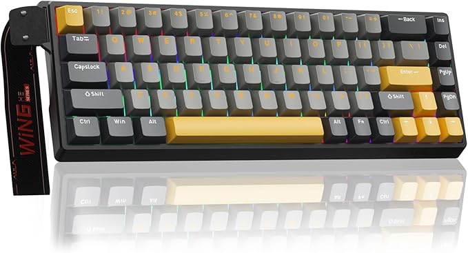 AULA WIN68 HE MAX - Hall Effect Gaming Keyboard with Magnetic Switch Adjustable Actuation Fast Trigger Mode 8KHz Polling Rate RGB Backlit Wired Mechanical Gaming Keyboard 60 Percent