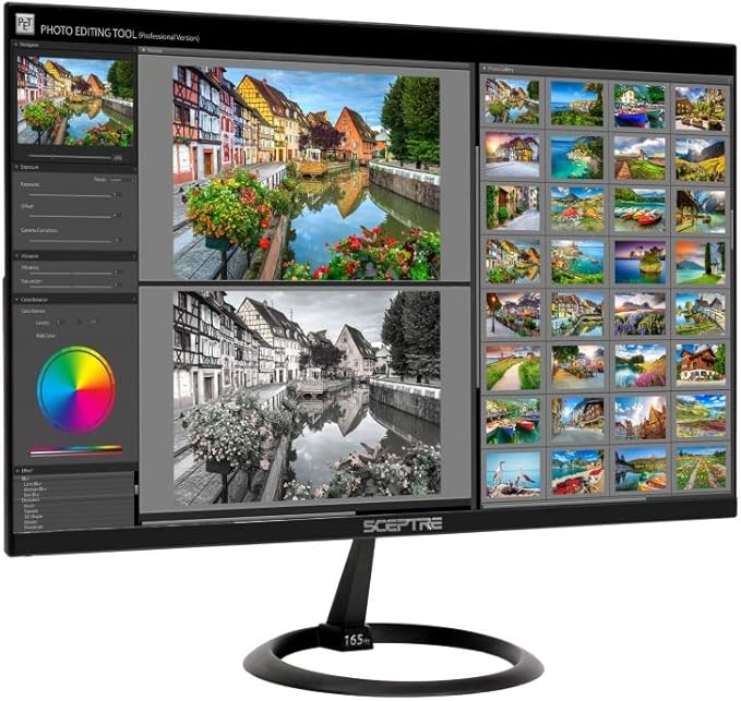 Sceptre 25 165Hz 144Hz 1ms Pro Slim LED Monitor AMD Freesync 2X HDMI 1X DisplayPort Build-In Speakers Metal Black 2019 (E258B-1658A)