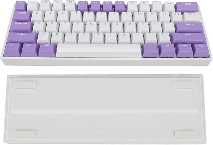 Vikye Mechanical Gaming Keyboard Portable 60% 61 Keys Type C Wired Keyboard with RGB Backlight for Laptop PC Red Switch with Blue Switch