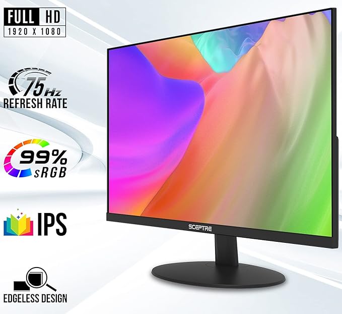 Sceptre IPS 24-Inch Computer LED Monitor 1920x1080 1080p HDMI VGA up to 75Hz 300 Lux Build-in Speakers 2021 Black (E249W-FPT)