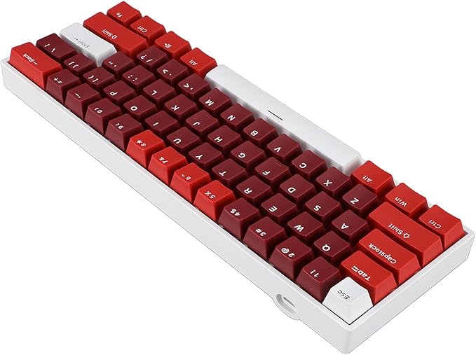 Vikye Mechanical Gaming Keyboard Portable 60% Layout 61 Keys Type C Wired Keyboard with RGB Backlight for Laptop PC Red Switch with Red Switch