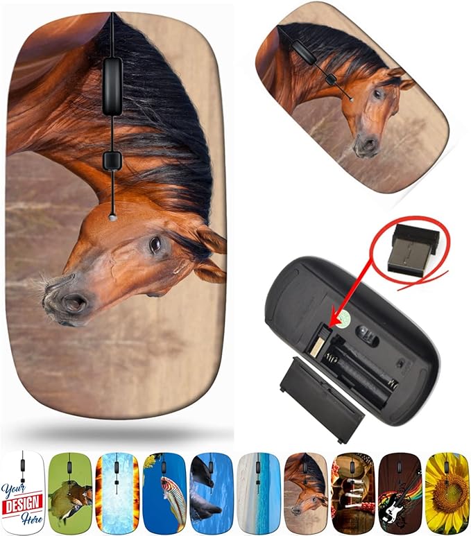 maizi Wireless Mouse White for PC Computer Chromebook Notebook Wireless Mice White 29129260 Chestnut Horse Head a 2.4G USB Receiver Portable Printed in USA