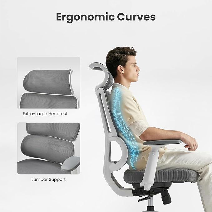 EUREKA ERGONOMIC Lena Mesh Office Chair Ergonomic Office Chair High Back Desk Chair with Oversized Headrest Home Office Desk Chairs for Home &amp Ofiice Work Chair Grey