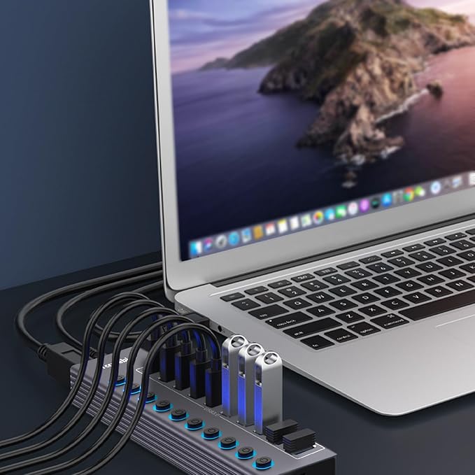 Powered 10-Port USB 3.0 Hub USB C to 10 Ports USB Data Hub Splitter with Individual LED On/Off Switche 3.3FT Cable 12V/3A Power Adapter for Laptop MacBook Pro/Air PC (Aluminum Gary)