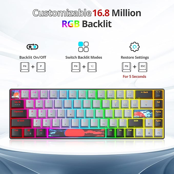 Protable 60% Percent Gaming Keyboard Mechanical Mini Compact RGB Backlit 68 Keys Wired Office Keyboard with Red Switch for Mac/Win (Dolch/red Switch 68)