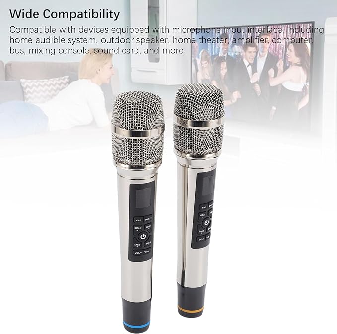 Professional Wireless Microphone Set with Reverb Dynamic Mic for Home Theater Singing