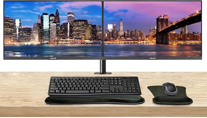 ASUS VA24EHF 24-inch 1080p FHD LCD Monitor 2-Pack HDMI Eye Care Low Blue Light 100Hz 1ms Desk Mount Dual Monitor Stand MK270 Wireless Keyboard &amp Mouse Gel Mouse &amp Wrist Pad