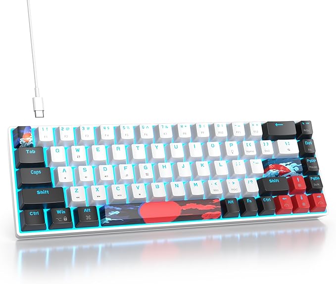 Protable 60% Percent Gaming Keyboard Mechanical Mini Compact Ice-Blue LED Backlit 68 Keys Wired Office Keyboard with Red Switch for Mac/Win/PS4/PS5（68White/red Switch）