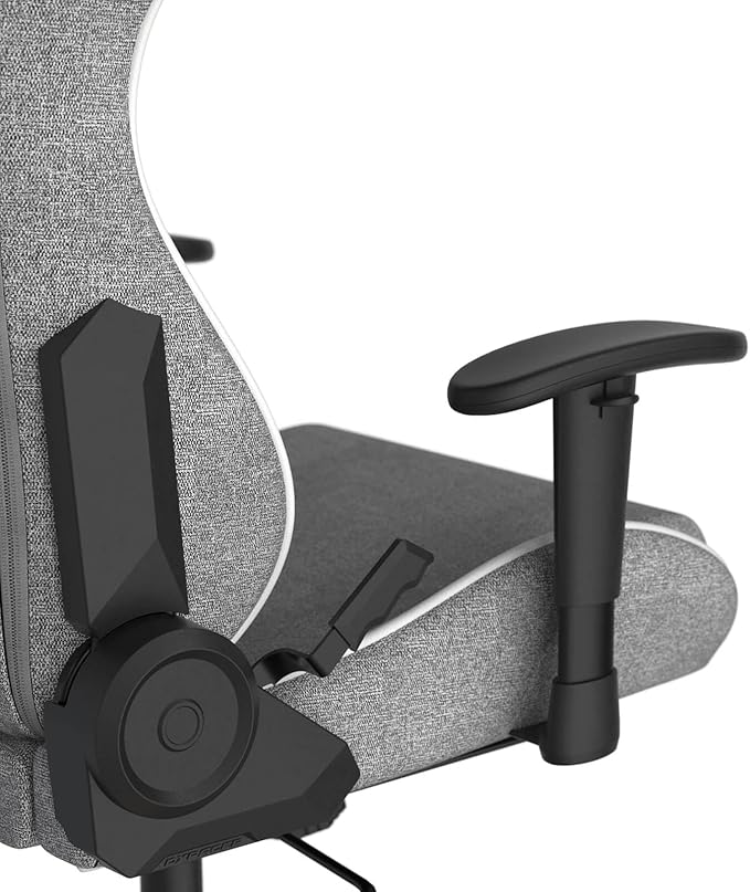 DXRacer Formula L Ergonomic Gaming Chair for Adults Reclining Video Office Computer Gamer Chair with Lumbar Support and Headrest (Water-Resistant Fabric Gray White)