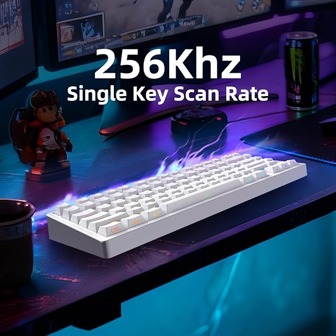 Mars75 Wired Magnetic Switch Keyboard 75% Layout0.001MM RT Accuracy 8KHZ Polling Rate/Latency As 0.125MS/256KHZ Single Key Scan Rate/ARGBHot Swappable Gaming Keyboard(White)
