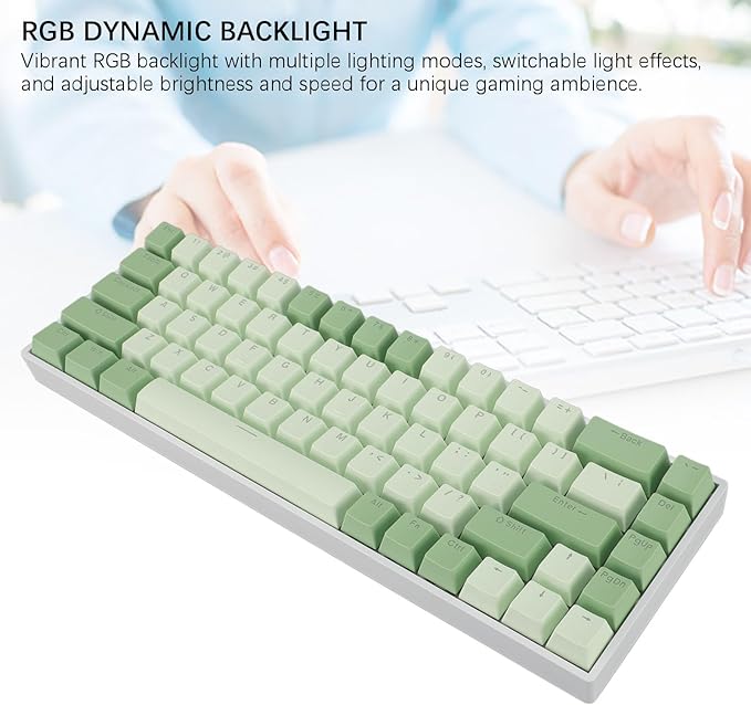 Yoidesu Mechanical Keyboard USB C Wired Gaming Keyboard RGB Backlit 68 Keys Blue Switch Computer Keyboard for Wins 2000 ME for Vista