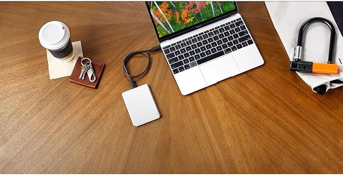 LaCie Mobile Drive 2 TB  External Hard Drive HDD – Moon Silver USB-C USB 3.0 With Rescue Services (STHG2000400)