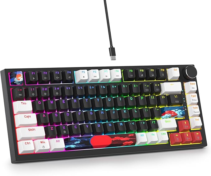 75 Percent Keyboard Gasket-Mounted with Sound Absorbing Pads 82-Key Compact Wired RGB Mechanical Gaming Keyboard Hot-Swap Socket for Win Black