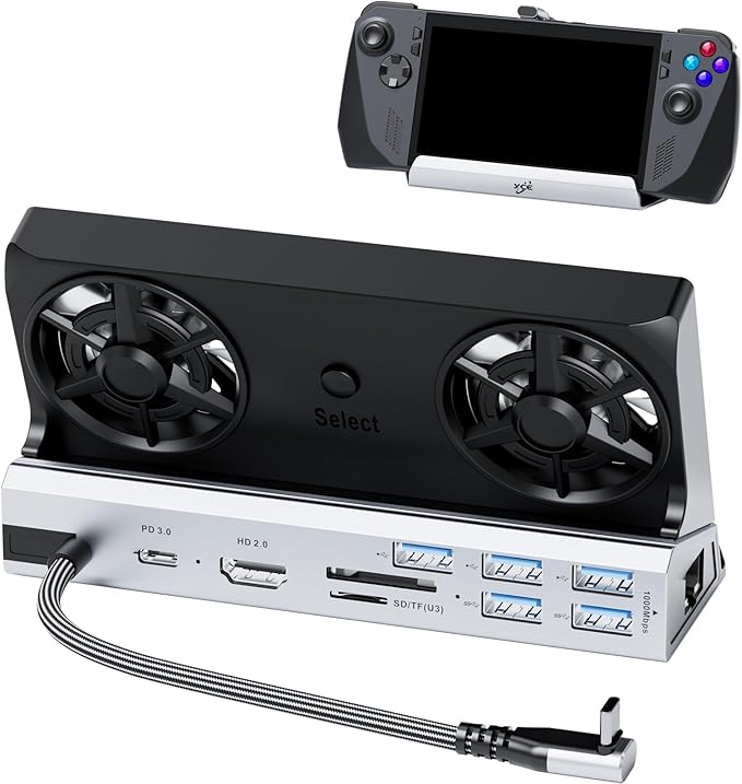Dual Cooling Fans 13 in 1 Steam Deck Docking Station with 4K@60Hz 5 USB Ports1000MbpsSD/TF SlotUSB-C 100W PD 40Gbps Adapter for Steam Deck/Rog Ally/Switch/Legion Go