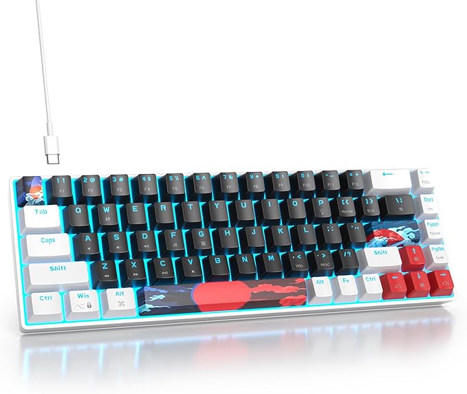 Protable 60% Percent Gaming Keyboard Mechanical Mini Compact Ice-Blue LED Backlit 68 Keys Wired Office Keyboard with Red Switch for Mac/Win/PS4/PS5(68Black/red Switch)