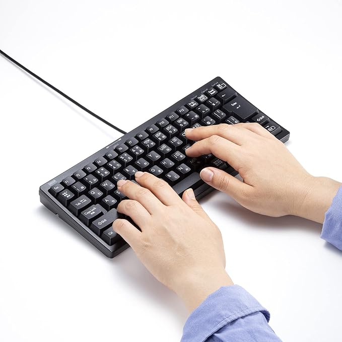 Sanwa Supply SKB-KG3UH2BK Compact Keyboard with USB Hub Black No Numeric Keypad