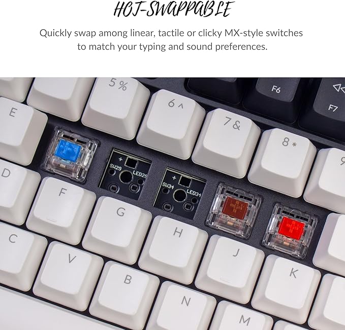 Keychron C1 Wired Mechanical Keyboard TKL RGB Backlit with Double-Shot ABS Keycaps 87 Keys Hot-Swappable Pre-lubed Tactile Switch Compatible with Mac Windows