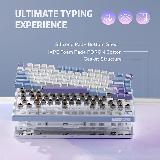 RK ROYAL KLUDGE R75 Mechanical Keyboard Wired with Volume Knob 75% Custom Gaming Keyboard Gasket Mount RGB Backlit with Software Cherry Profile Hot Swappable Silver Switch PBT Keycaps
