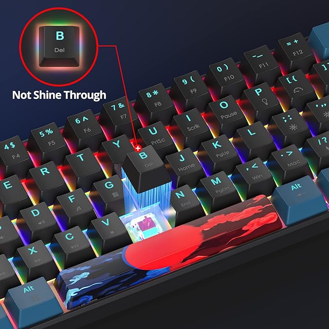 Protable 60% Percent Gaming Keyboard Mechanical Mini Compact Backlit 61 Keys Wired Office Keyboard with Red Switch for Mac/Win (Monstor Black/red Switch 61)