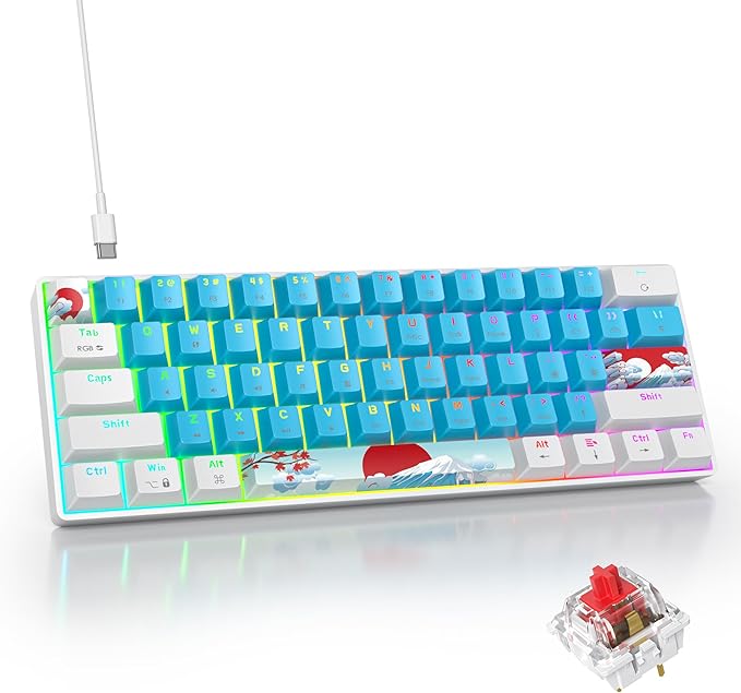 Blue and White Mechanical Gaming Keyboard 60% 61 Keys Small Wired RGB Keyboard with PBT Keycaps Anti-Ghosting for Game/Office