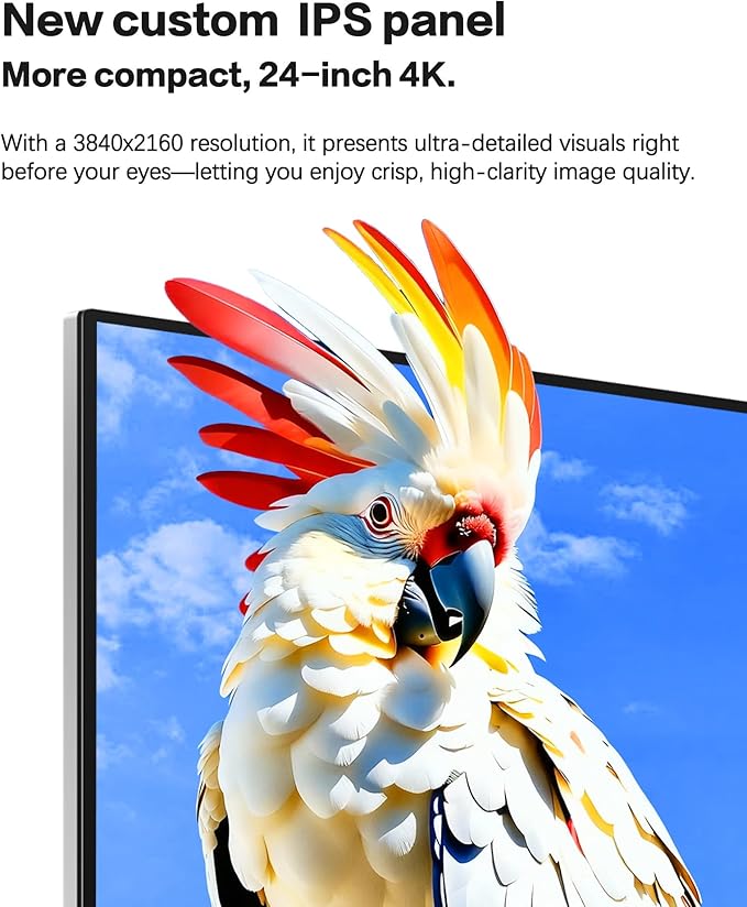P24U 23.8 inch UHD (3840 x 2160) 4K 185 PPI Monitor IPS Black Panel 99% sRGB 98% DCI-P3 True 10-bit Color HDR10FreeSync1200:1HDMIDPVESA1 yr Warranty (Minimalist - with Stand)