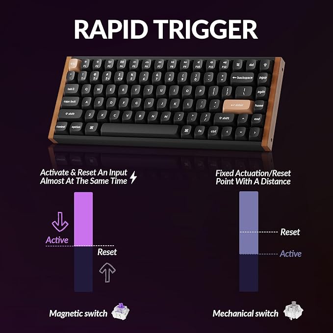 Keychron K2 HE Rapid Trigger Wireless Custom Keyboard with Hall Effect Gateron Double-Rail Magnetic Switch QMK 2.4 GHz Bluetooth 5.2 RGB Compatible with Mac Windows Linux (Aluminum + Wood)