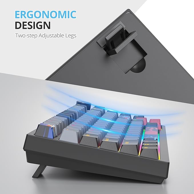 75 Percent Keyboard Gasket-Mounted with Sound Absorbing Pads 82-Key Compact Wired RGB Mechanical Gaming Keyboard Hot-Swap Socket for Win Dolch