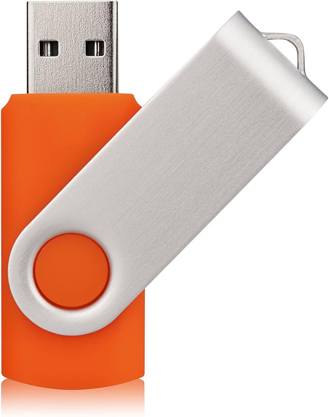 Aiibe 10 Pack 32GB Flash Drive USB Flash Drive USB 3.0 Thumb Drives USB Memory Stick 32 GB 3.0 Flash Drives Bulk (10 Mixed Colors: Black Blue Red Green Orange White Yellow Pink Purple Silver)