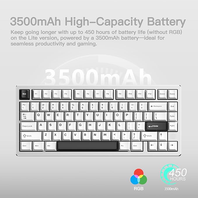 KEEBMONKEY WOBKEY Rainy 75 CNC Aluminum HMX/JWK/Cocoa Switches Triple-Mode Connectivity Mechanical Keyboard with Superior Acoustics RGB/PP/Mirrored Glass/3500mAh/Violet Switch (Standard - Silver)