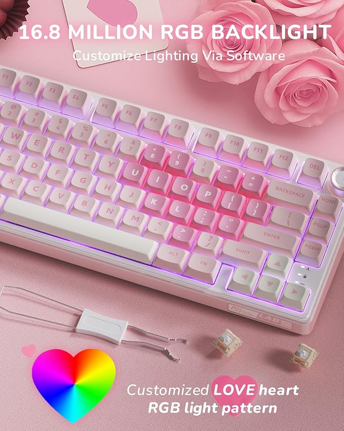 RK ROYAL KLUDGE R75 Mechanical Keyboard Wired with Volume Knob 75% Keyboard Gasket Mounted Hot Swappable Creamy Sound MDA Profile PBT Keycaps Pink
